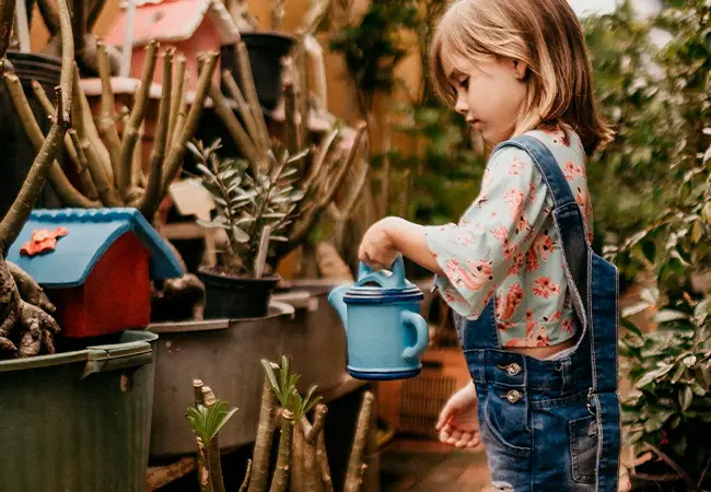 Vestidos de niña de Pepe Jeans al mejor precio - Primeriti: Blog