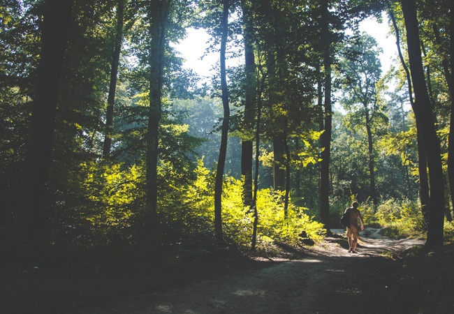 Diferentes rutas del Camino de Santiago