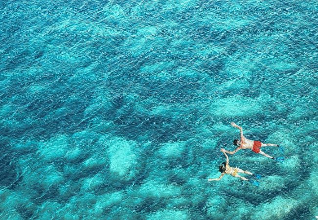 ¿Cuándo comienza el verano?