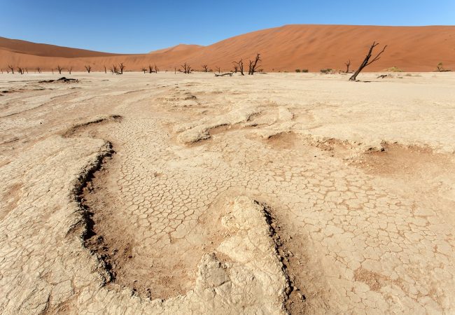 Cómo combatir la ola de calor