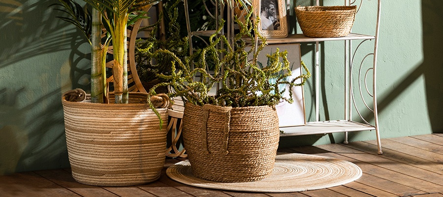 Todo lo necesario para una terraza de invierno
