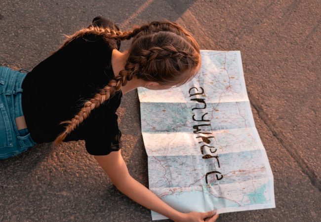 ¿Cómo hacer trenzas boxeadora?