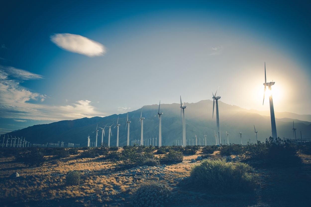 La importancia de las energías renovables en la actualidad