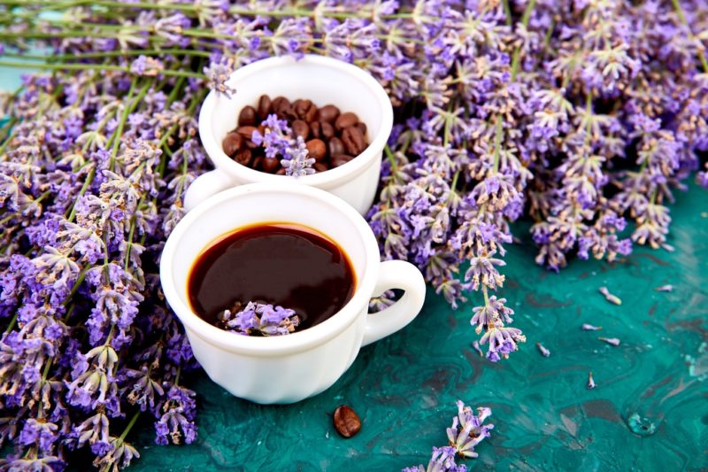 Beneficios del café