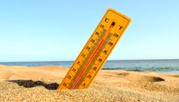 ¿Qué debo hacer en una ola de calor?