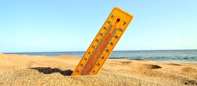 ¿Qué debo hacer en una ola de calor?